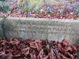 image of grave number 908198